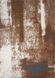 Ковер легкой чистки Rust Grey 200x300