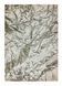 Ковер Aurora AU09 Satin 240х340 см
