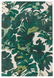 Килим Matrix MAX73 Palm Green 120х170 см