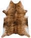 Килим Texas Brown Abstract 190х240 см