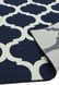 Килим для вулиці і дому Antibes AN02 Blue Trellis 80x150