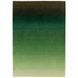 Килим Ombre Green 120х170 см